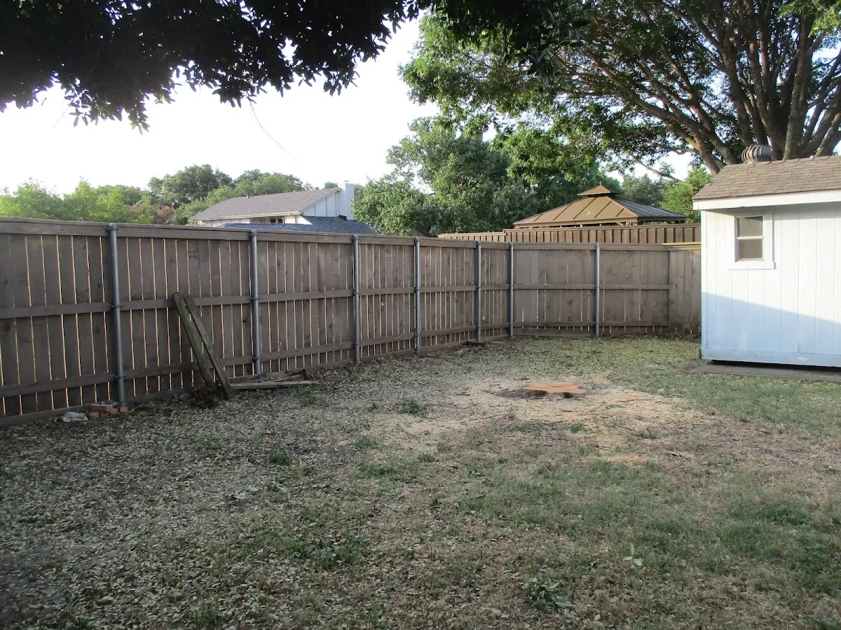 Cleared yard after professional tree removal in Bridgeport